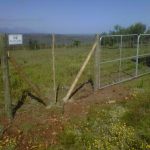 Field Fencing and Gate